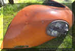 Left_rear_orange_wing_foot_ball_late_beetle_3.JPG (355609 bytes)