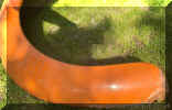 Left_rear_orange_wing_foot_ball_late_beetle_4.JPG (394574 bytes)