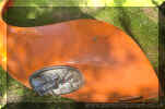 Right_rear_orange_wing_foot_ball_late_beetle__2.JPG (354165 bytes)