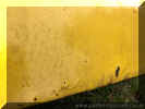 yellow_beetle_door_left_near_side_project_4.JPG (66827 bytes)
