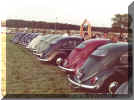 RHD_VW_Oval_beetle_project_1955_show_line_up_1978_vw_action.jpg (101239 bytes)