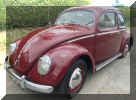 VW_Oval_beetle_2020_2.JPG (433109 bytes)